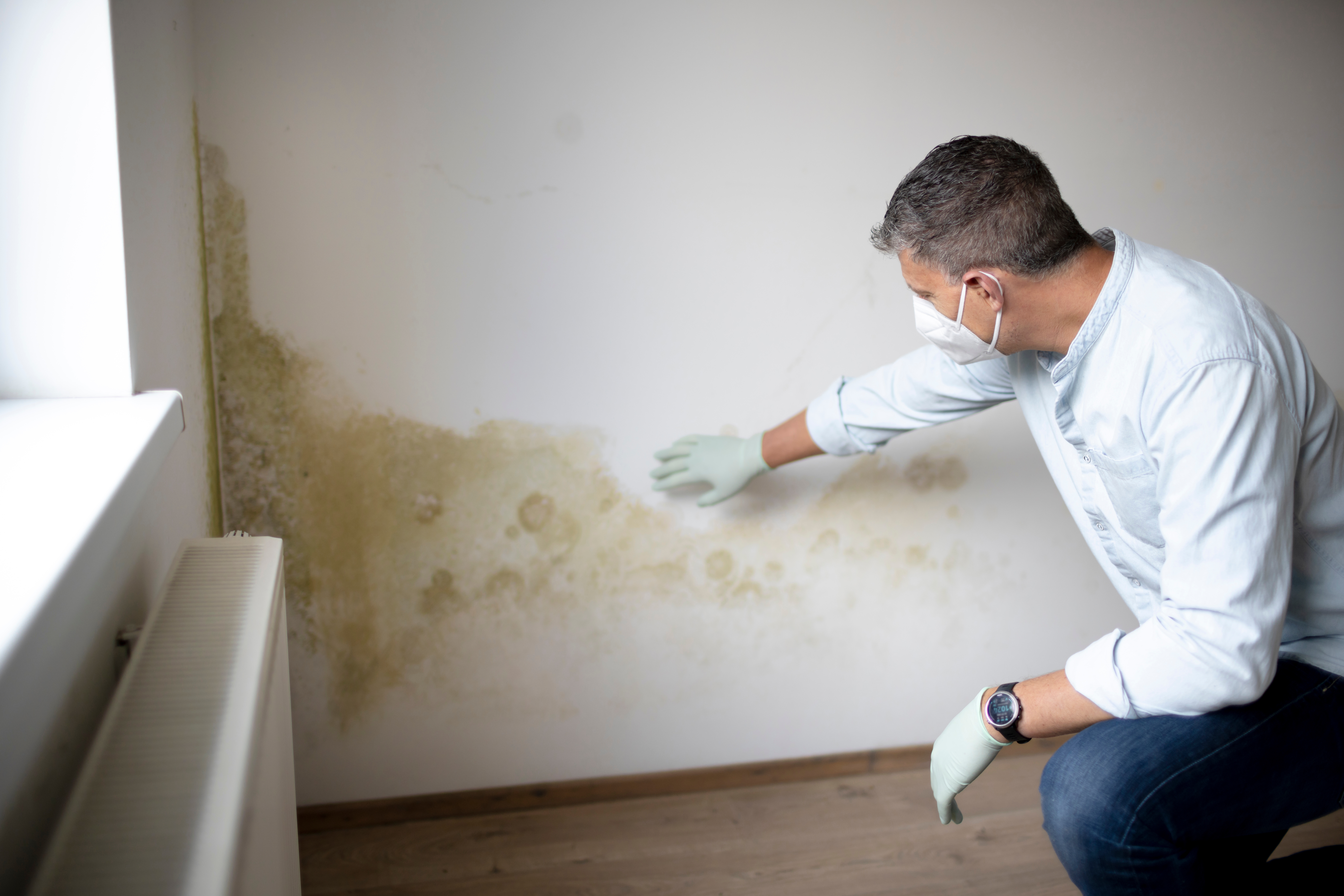 Mould outbreaks in rental accommodation: Who is responsible?